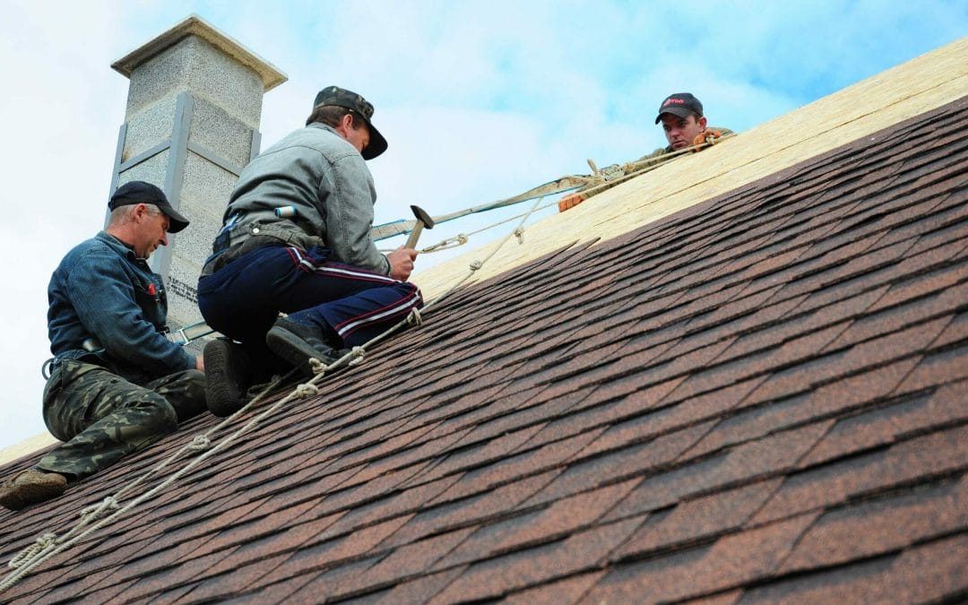 Your Guide to Asphalt Shingles: What They Are and How They Are Made