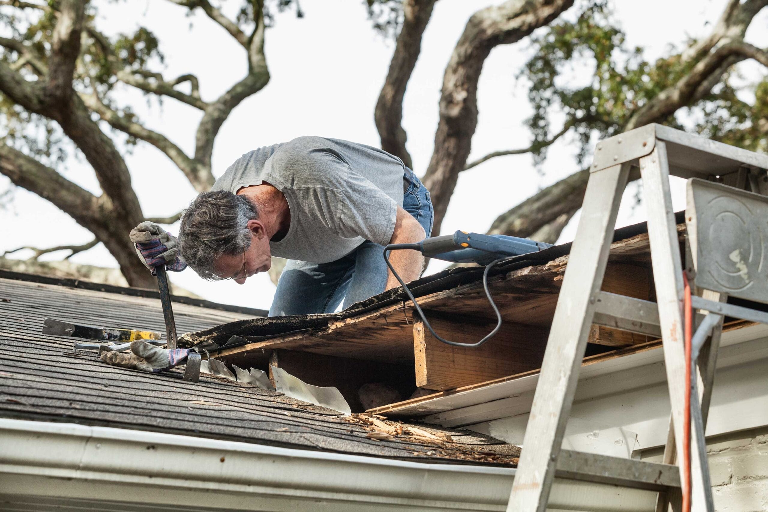 regular roof inspections, when to inspect a roof, Lake County