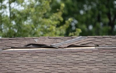 4 Tips to Help You Handle Storm Damage to Your Buffalo Grove Roof