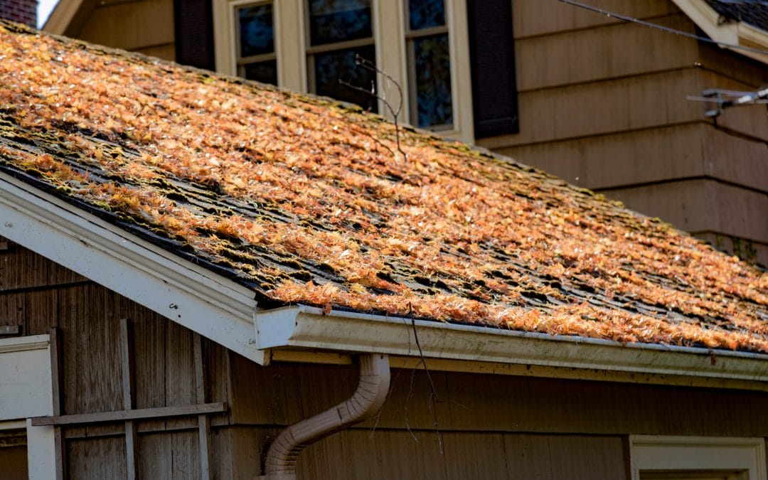 5 Common Roof Problems Facing Buffalo Grove Owners During Spring Weather